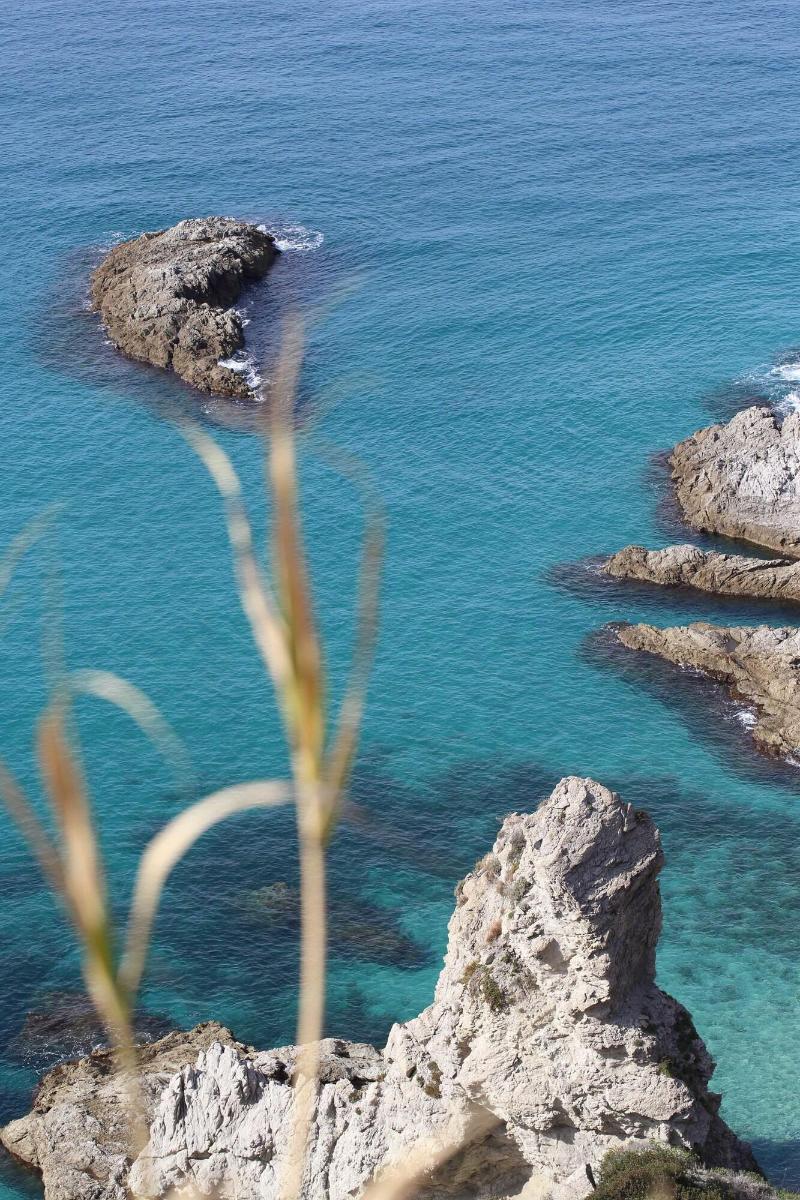 Hotel Calabrisella Calabria ภายนอก รูปภาพ